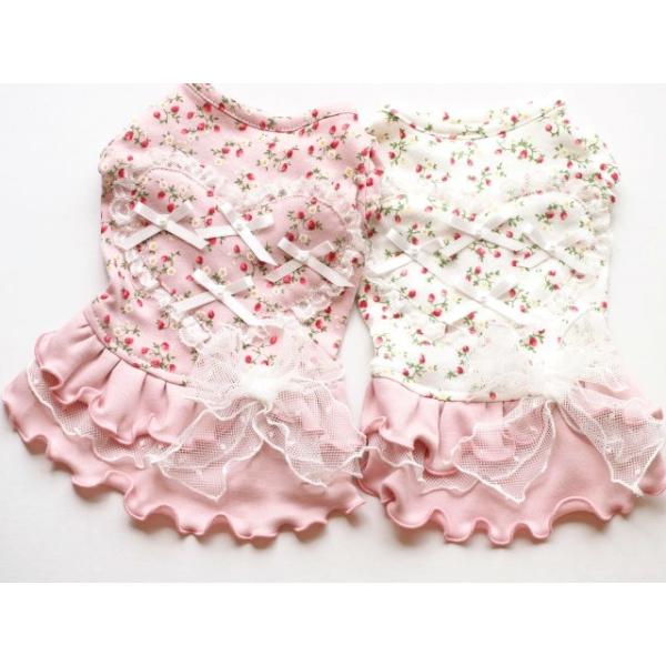 yNEWz삢 Rbgs[X@SS`M@fs3gm