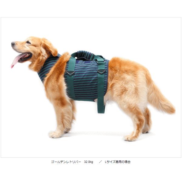 ^pn[lX@XGbg@S`LLys⏕n[lXLaLaWalk^pzEH[N