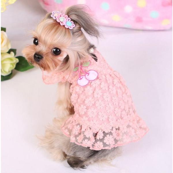 y1260ψzytĐVzԕV[X[sinK[j@wr`wk@@s[X