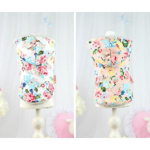 ROSER[gr`wki{AEnK[jy~ R[gz