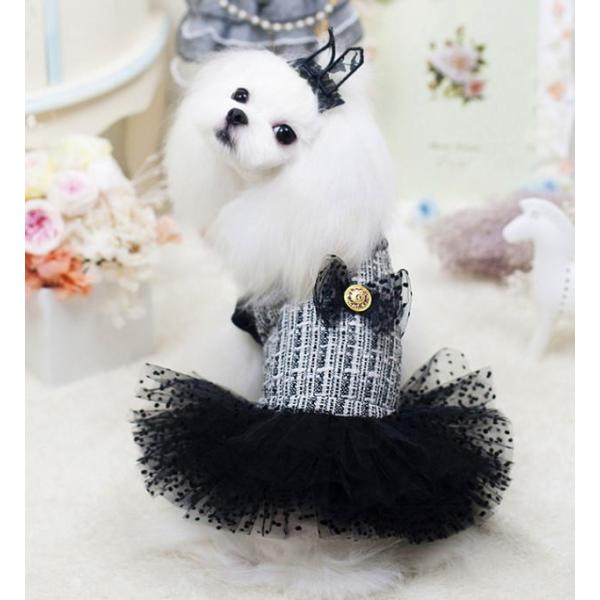 cC[h[Xs[X wr`ki s[XEnK[j@@