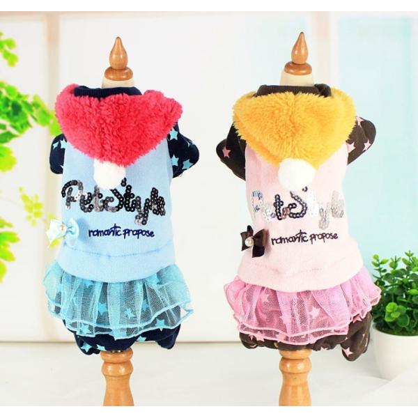 STAR[XI[C@Xr`Xk@@Ȃ@