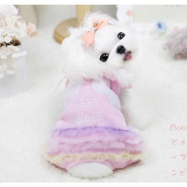 angel I[Ci{A nK[j@S`XL@@Ȃ@