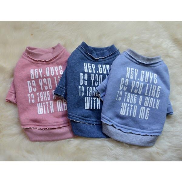 ؂ςȂTVc wr`wki TVcEnK[j@@