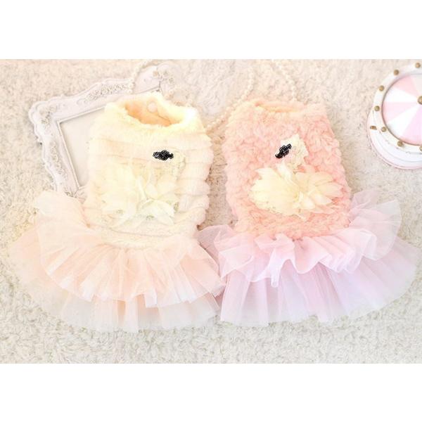 swan[Xs[X wr`Xki s[XEnK[j