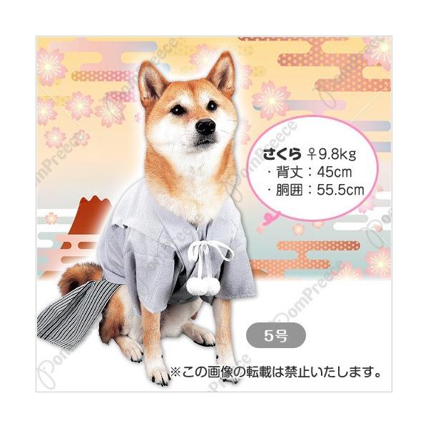 中型犬用お正月着物 羽織はかま 0185 5号 グレー Buyee Buyee 日本の通販商品 オークションの代理入札 代理購入