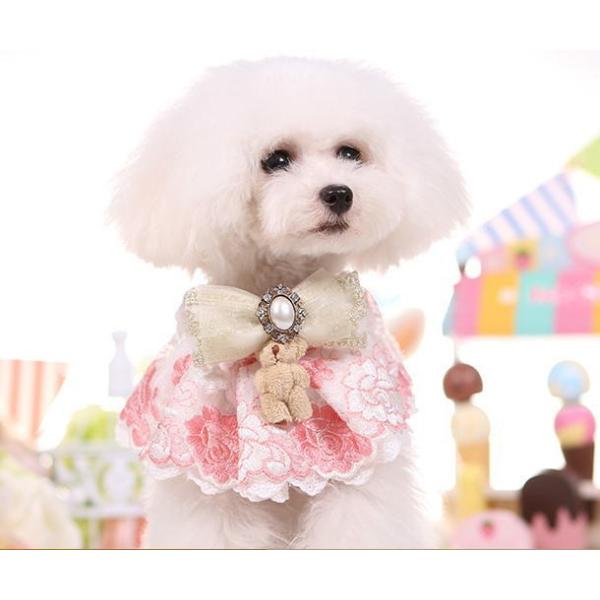 {xA[ lbNEGAi֌p^Cvjr`l