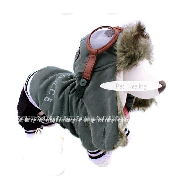 yzցzS[OtAIRFORCEȁ@I[C@S`wk