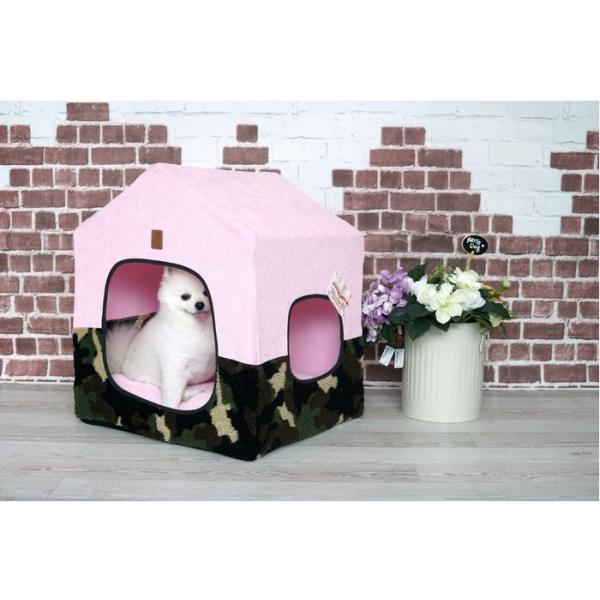 y50OFFzparisdogipXhbOjnEXJh[@Jt[WnEX@(ybgp ^ Jh[ xbh)