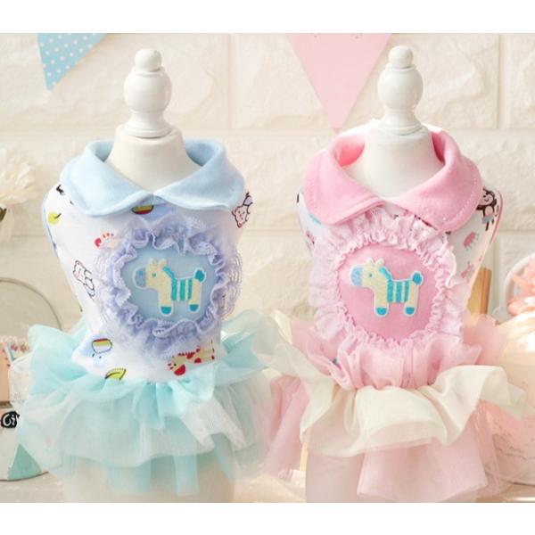 Aj}``s[XinK[j@wr`wky z