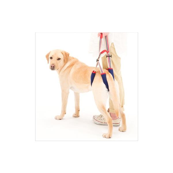 LaLaWalkSTEP@ACr[y^pn[lX@s⏕n[lXz