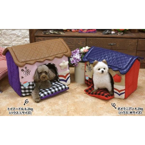 y50OFFzparisdogipXhbOj nEXJh[ X^[h[nEX M (ybgp ^ Jh[ xbh)