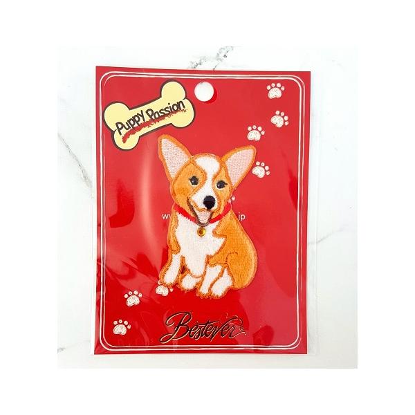 i[ցjAC I by iR[M[j@xXgGo[