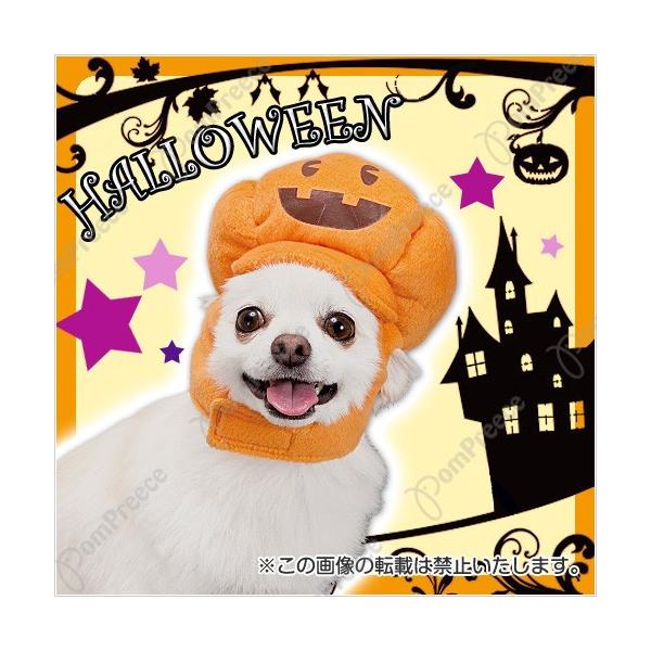 i[ցjϐgXq pvLLXPbg@M@i3219j@^@nEB@RXv