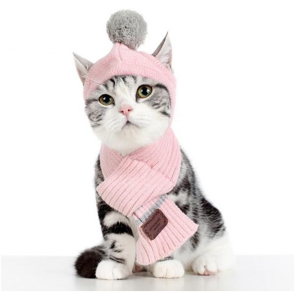  L@jbgXE}t[2_ZbgII@Sip}t[j