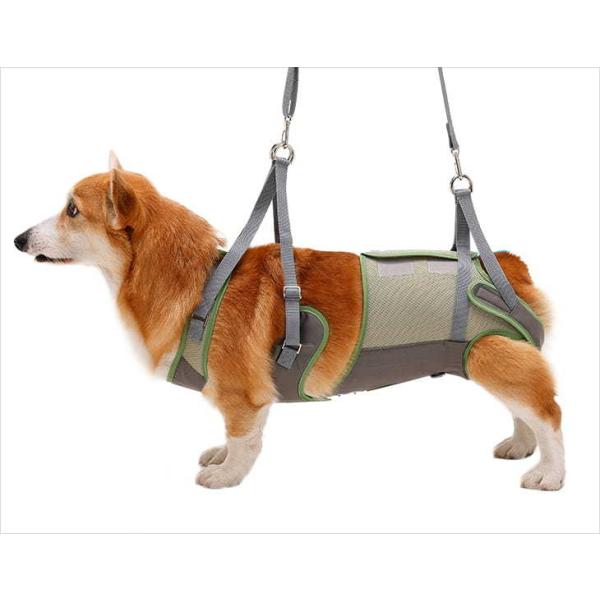 s⏕n[lXLaLaWalk^ER[M[p[bVI[u] ys⏕n[lXLaLaWalk^ER[M[pz