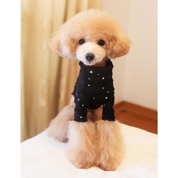 ی^XpR[@OTVc r`wki@@nK[j@