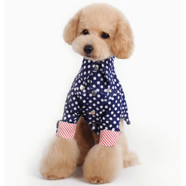 ʂ̒Vc wr`wkinK[jy z