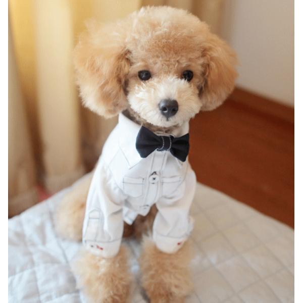 {t@VvVc r`wwkinK[jy z