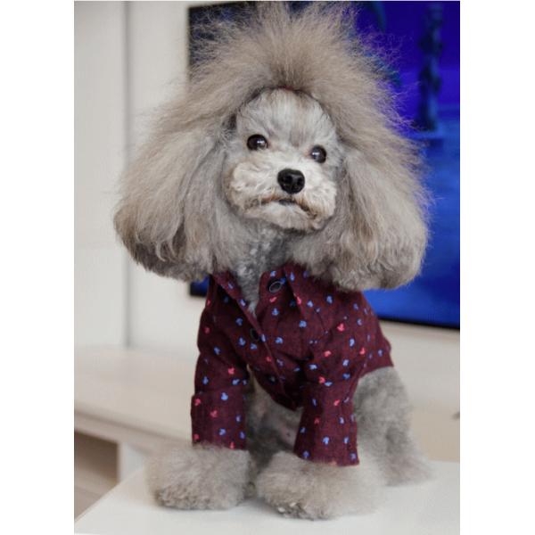 AJ[vgVc r`wkinK[jy z