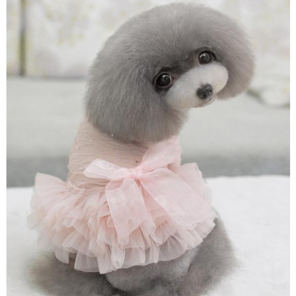 XpR[OT@ӂ胏s[X r`wkinK[j@@