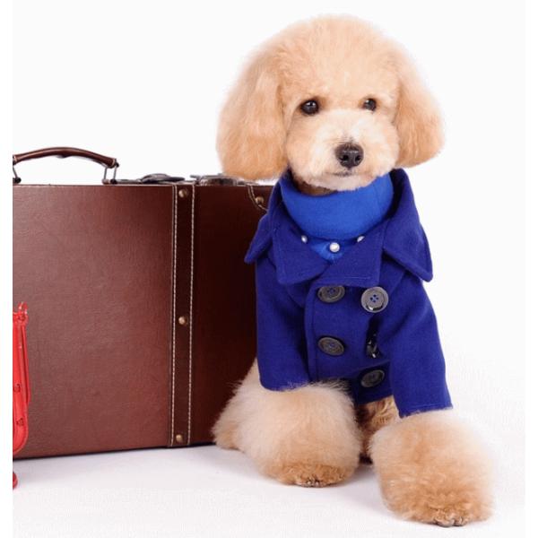 i[ցjoR[g wr`wkinK[jy ~z