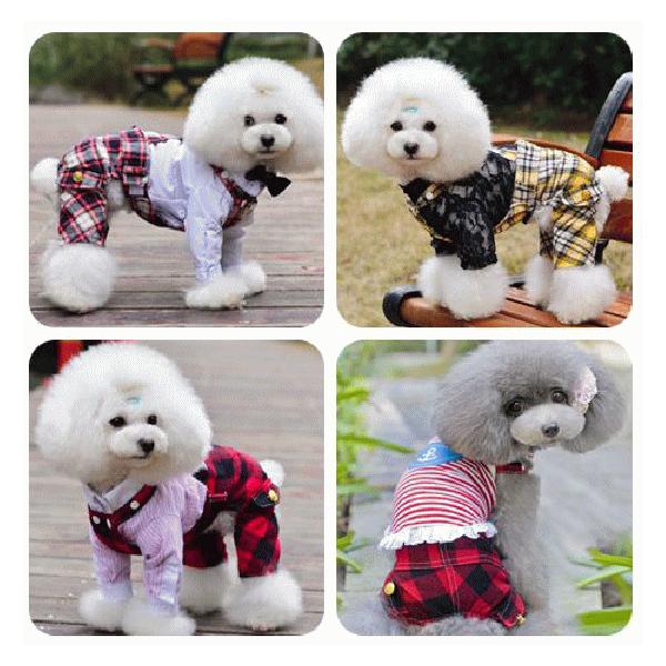 y1260ψzyH~VzTXy_[t@`FbNpc@r`wk@@Ȃ@