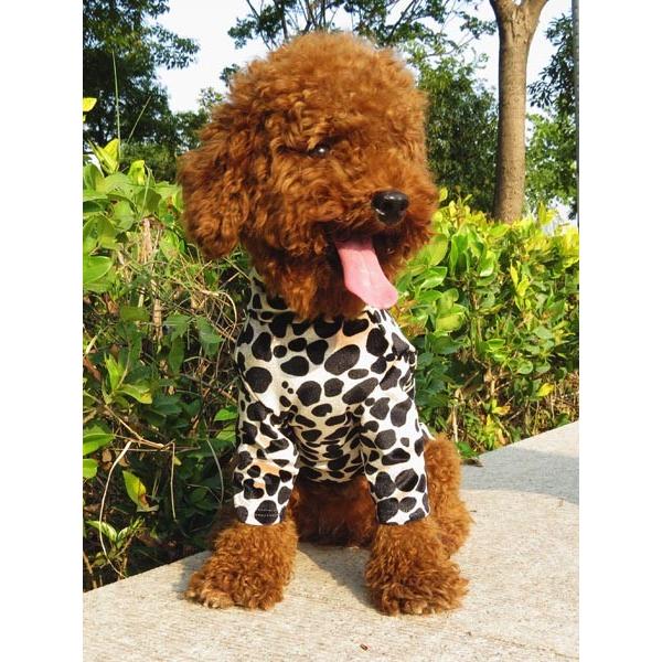 犬服・アクセサリー h-ten 可愛い小型犬の洋服通販 鎌倉ドッグ KAMAKURADOGロゴマークトップス