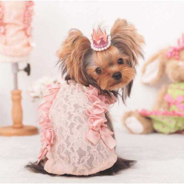 t{×[XTinK[j@wr`wky ~z