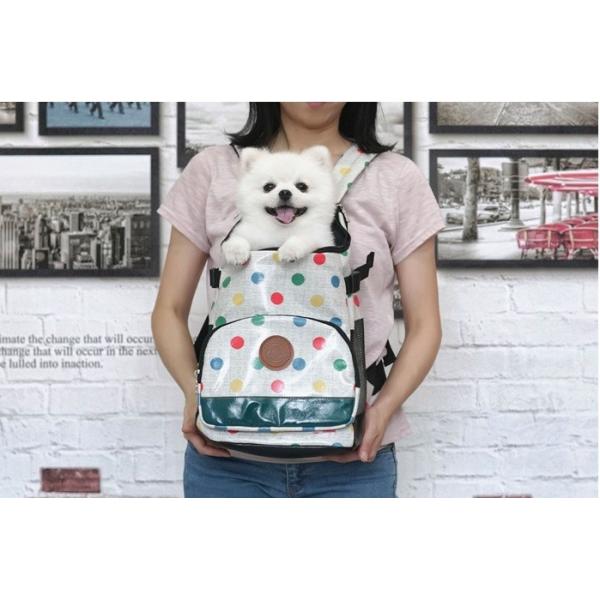 y50OFFz(^p)@hbgO|obO@M  yybg L[ bNzparisdogipXhbOj