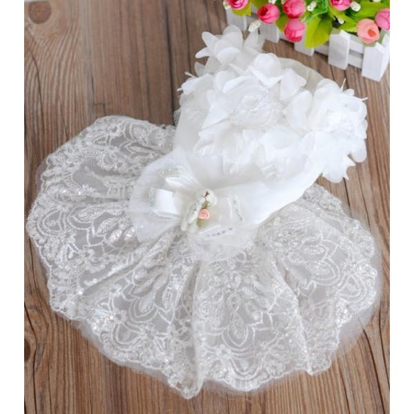 ytĐVzzCghX wr`Xki hXEnK[j@s[X