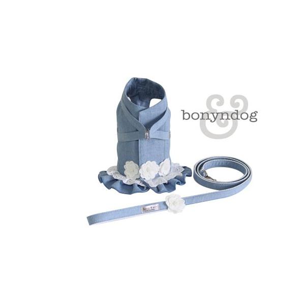 bonyndog@fj[Xis[X^Cvjn[lX[hZbg@S`XL