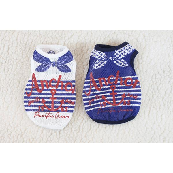 y1260ψz XJ[tvgbVsinK[j@wr`wky tĕz