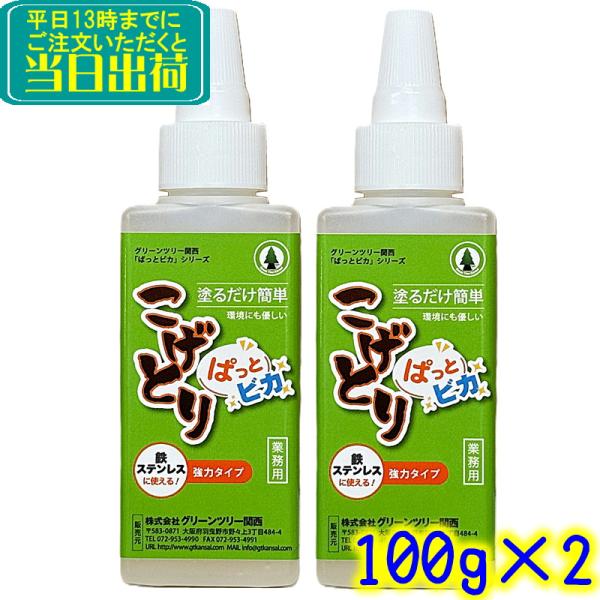 こげとり ぱっとビカ（100g×2本セット）頑固な焦げ付きが塗るだけで簡単に落とせます  業務用 オーブンレンジ 鍋 掃除 五徳 IH ガラストップ 鉄 ステンレス