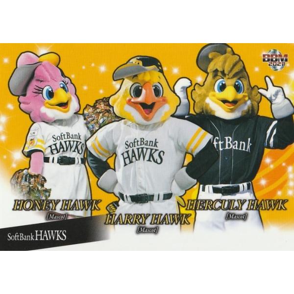 clearfile_bbm2021hawksh69