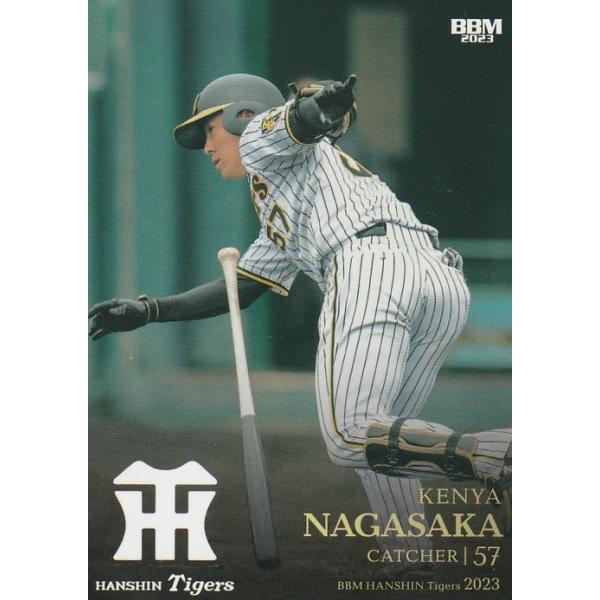 clearfile_bbm2023tigerst38