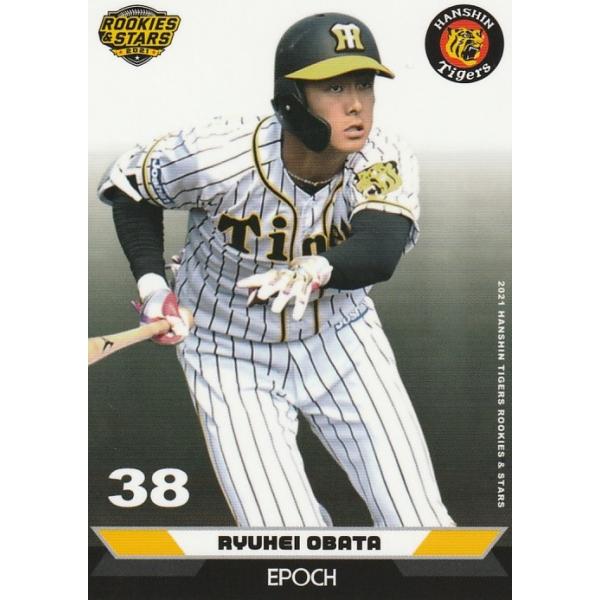 clearfile_epoch2021tigers27