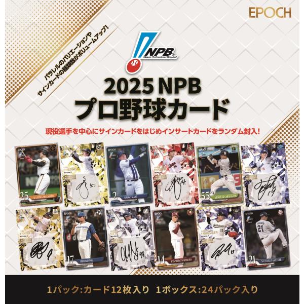 clearfile_epoch2025npb1carton