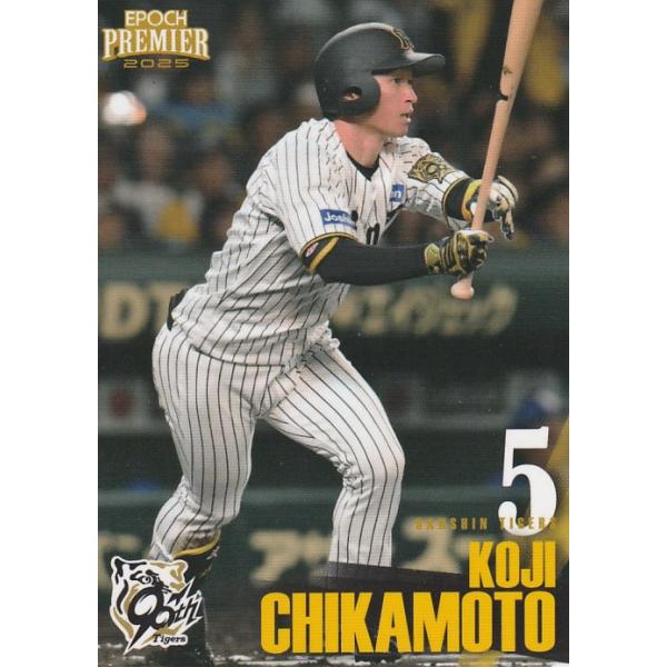 clearfile_epoch2025tigerspe17