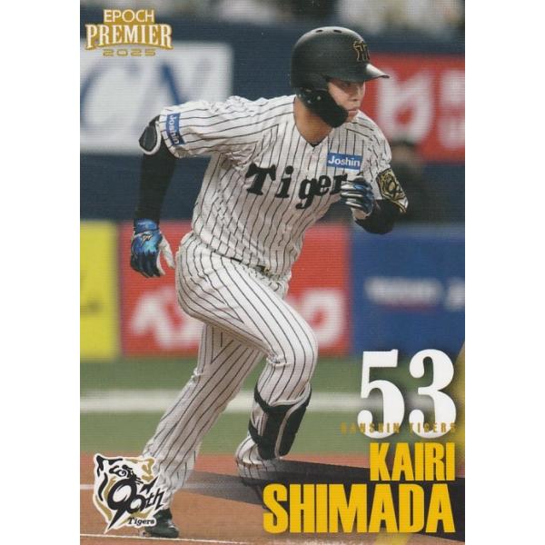阪神タイガース 栄光のラインナップ2003〈完全予約限定販売・5枚組〉 阪神タイガース 栄光のラインナップ2003〈完全予約限定販売・5枚