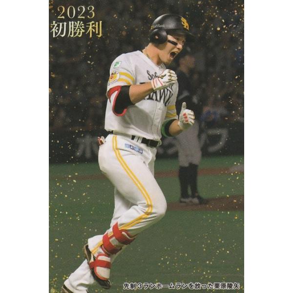 clearfile_pc2023fw-02