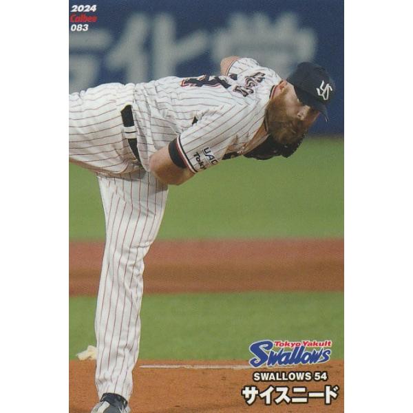 Amazon.co.jp: カルビープロ野球チップス 2020 第二弾 選手