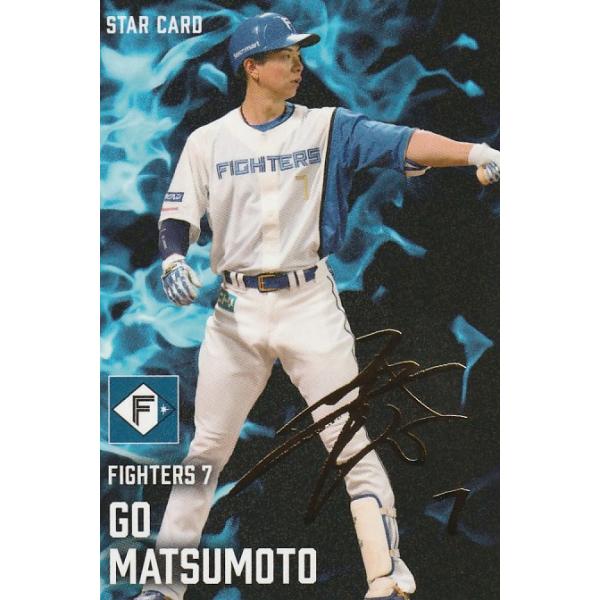 プロ野球カード(一式) clearfile_pc2025t-19
