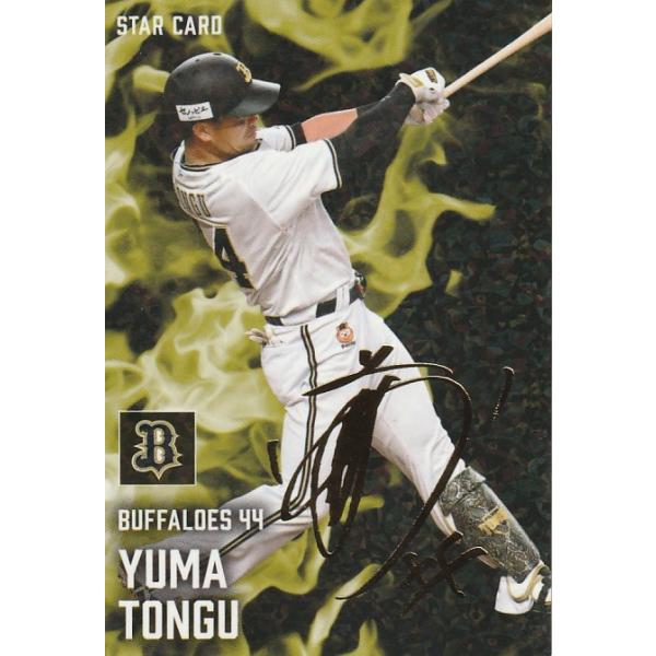 clearfile_pc2025s-46s