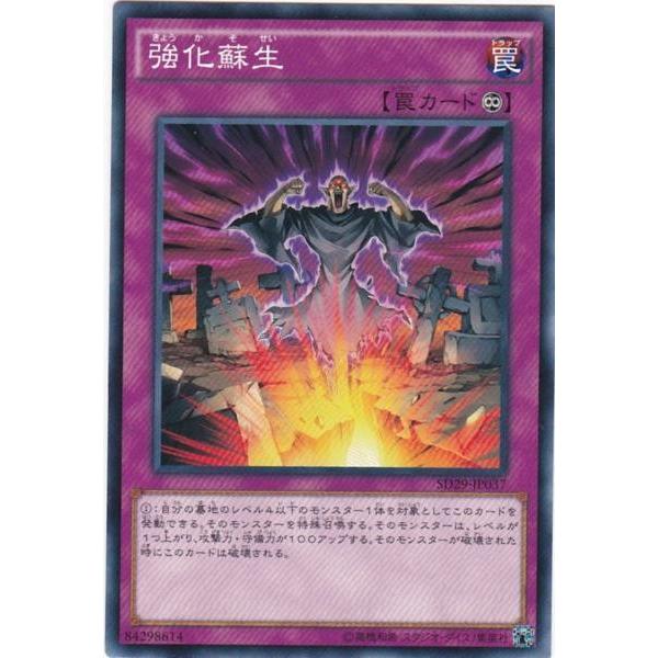 遊戯王 SD29-JP037 強化蘇生 ノーマル