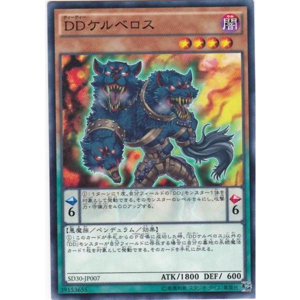 遊戯王 SD30-JP007 DDケルベロス ノーマル