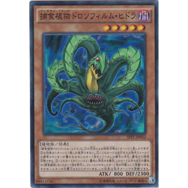 clearfile_spfe-jp002