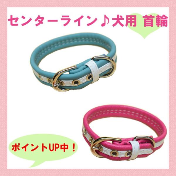   STCY Z^[CJ[ p ̎ IV 킢 Jt Vv y U[ v ^ ^  Ck A[A