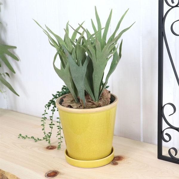 グロッシーポット ミモザ 鉢 底穴あり 黄色 Yellow Green Glossy Pot 5号サイズ ツリーハウス ガーデン雑貨 Diy 通販 Yahoo ショッピング