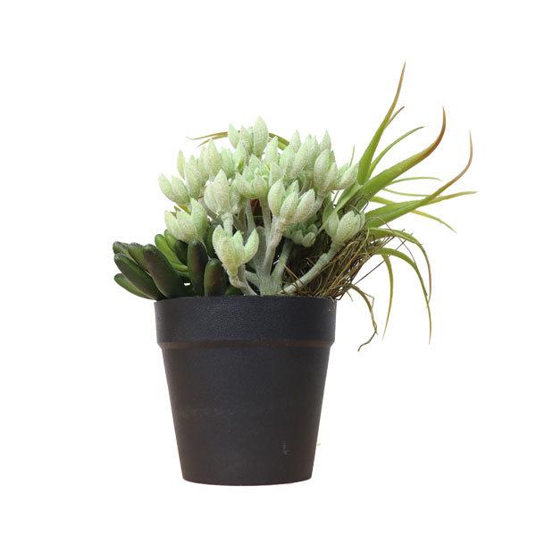 ミニアレンジメントポット Sa 多肉植物 フェイクプランツ アートプランツ 330 ツリーハウス ガーデン雑貨 Diy 通販 Yahoo ショッピング